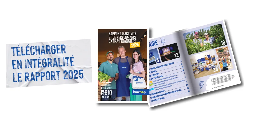 Téléchargement rapport 2024